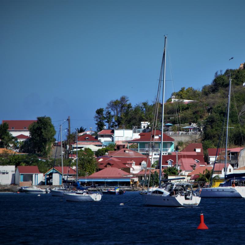 fotogallerie
